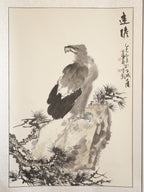 Soaring Vision 《远瞻》