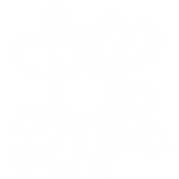 Contemporary Artistic Expression